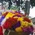 More Than 500 Flower Farmers Participate In Colombia S Flower Festival