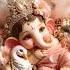 Ganesh Ji Gannayakaya Song Ganesha Bappa Ganpati Trending Shorts Shortvideo Shortsfeed