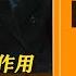 巨人的难题37集 文革留的后手 邓小平 陈云的功能 民主下的官僚主义症状较轻 开民智 民族周期性 农业文明与工业世界的矛盾 历史有声书 天涯神贴 不被理解的毛泽东 卷六