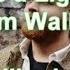 Leave A Light On Tom Walker Lyric Video