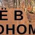 Питательный напиток для похода в горы из простых продуктов Променад одного дня