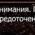 Брюс Алан Уоллес Глава 5 Революция внимания Пробуждение силы сосредоточенного ума