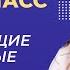 Видеоурок 13 Дикорастущие и культурные растения Окружающий мир 2 класс