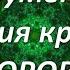 ИНСТРУМЕНТ ДЛЯ СОЗДАНИЯ И ПОДДЕРЖАНИЯ КРЕПКОГО ЗДОРОВЬЯ ШАКТИ ГАВЭЙН законпритяжения силамысли