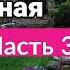 ОЧЕНЬ интересный рассказ Душа как раненая птица христианский рассказ Анна Лукс часть3 2021