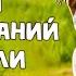 75 лет исследований TED в чём секрет счастья здоровья долголетия Деньги слава работа или