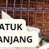 Suara Kicau Burung Pelatuk Bawang Gacor Tembakan Super MASTERAN PELATUK BAWANG