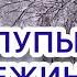 ГЛУПЫЕ СНЕЖИНКИ Юрий Шатунов Сергей Кузнецов 30 марта 2023г Каменск Шахтинский Лиховской