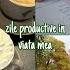 STUDY VLOG Câteva Zile Productive în Viața Mea