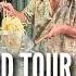 JAKARTA Street Food Tour In GAJAH MADA