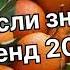 Танцуй если знаешь этот тренд 2 0 2 4 года