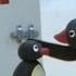 Pingu Pingu At The Doctor