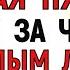 20 декабря День Амвросия Что нельзя делать 20 декабря День Амвросия Народные традиции и приметы