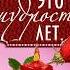 С ЮБИЛЕЕМ 55 ЛЕТ ЖЕНСКИЙ Proshow Producer ПРОЕКТ WITH THE ANNIVERSARY OF 55 YEARS FOR WOMEN