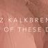 Fritz Kalkbrenner One Of These Days Fat Sushi Remix Official Audio