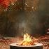 Autumn Forest Ambience Crackling Fire Sounds Nature Sounds Crunchy Leaves Relax Rest Work