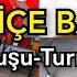 STARLİÇE ÇİÇEĞİ BAKIMI A101 E CENNET KUŞU ÇİÇEĞİ GELMİŞ Cennetkuşu Turnagagası Starliçe