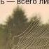 Как незаметно день за днем год пролетает Александр Суханов