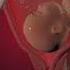 Birth Process Begins Precious Moments Of Child Inside The Womb 3D Animation