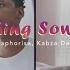 Samthing Soweto AmaDM Ft DJ Maphorisa Kabza De Small MFR Souls Official Video