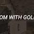 Cage The Elephant Golden Brown Lyrics