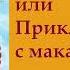 гл 12 Путь Кассандры или Приключения с макаронами Юлия Вознесенская аудиокнига