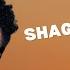 Shaggy Rayvon Angel Lyric Video