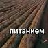 вакансии трудоустройство работа Work европа заработок казахстан кыргызстан узбекистан