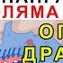 14 Окт НЕ БЪРЗАЙТЕ УКРАИНЦИТЕ на ПЪТ да СМАЧКАТ ТЕСНИЯ РУСКИ ПРОБИВ Анализ на войната в Украйна