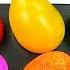 Satisfying Video Rainbow Mixing All Lollipop Color EGGS From Rainbow Magic Chocolate Cutting ASMR