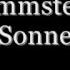 Rammstein Sonne With English Lyrics