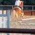 Don T Give Up Horse Equestrian Idkanymore Horselover Horseriding