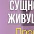 Сущность Бога живущего в нас Прощающий дает силы прощать Время с Дэнис Реннер