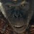 Kingdom Of The Planet Of The Apes Official Trailer