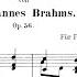 Johannes Brahms Variations On A Theme By Haydn Op 56 Arr Ludwig Stark