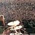 Metallica Live In Moscow Russia September 28 1991 Tushino Airfield