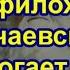 Как преп Амфилохий Почаевский помогает мне каждый день Всех с праздником