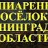 РАСПИАРЕННЫЙ ПОСЁЛОК В КАЛИНИНГРАДСКОЙ ОБЛАСТИ