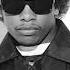 Eazy E 1993 1994 MEGAMIX DISS RAPS 4 2023 OLD SCHOOL RAP GOD