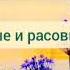 Коллективное тело боли женщин Национальные и расовые тела боли ЭКХАРТ ТОЛЛЕ