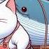 Cat Preparing For The New Year By Buying A Whale Animation Cuteecats Catcartoon Cat Funncats