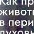 107 Как преодолеть животное начало в период духовного роста Практика соединения с Высшим Я