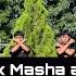 Dance Tiktok Viral Terbaru 2024 Dj Masha And The Bear