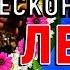 Я желаю тебе бесконечного лета Александр Ермолов Смотреть клип песни Красивая музыка