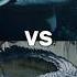 Sharks Vs All Predator Water Crocodile Orca