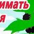 Медведь который любил обнимать деревья Сказка на ночь Сонные аудиосказки Засыпательные сказки