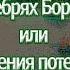 Аудиокнига В дебрях Борнео или Приключения потерпевших кораблекрушение Майн Рид