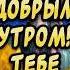 Тебе сегодня от меня Красивые пожелания с добрым утром С добрым утром и хорошим днем доброеутро