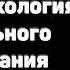 Аудиокнига Поток Психология оптимального переживания Михай Чиксентмихайи Основные мысли