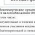 Годовая отчетность 2018 Построчное заполнение декларации по форме 100 00 08 02 2019